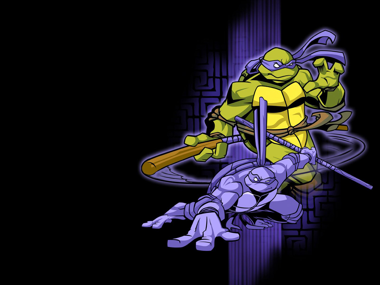    Teenage Mutant Ninja Turtles 2003
