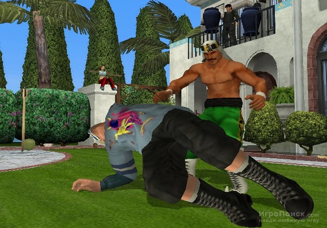    Backyard Wrestling: Don't Try This at Home