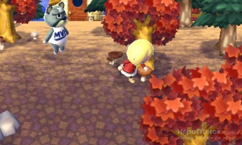    Animal Crossing: New Leaf