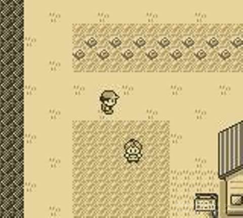    Pokemon Red and Blue