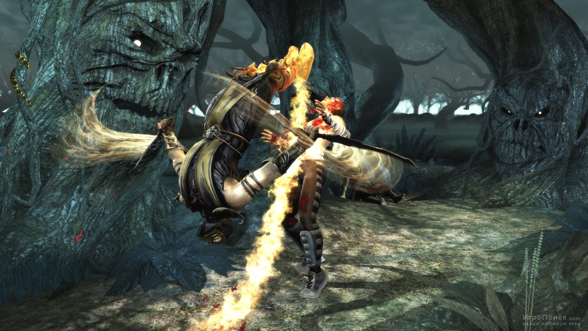 Скриншот к игре Mortal Kombat 9 for PS Vita