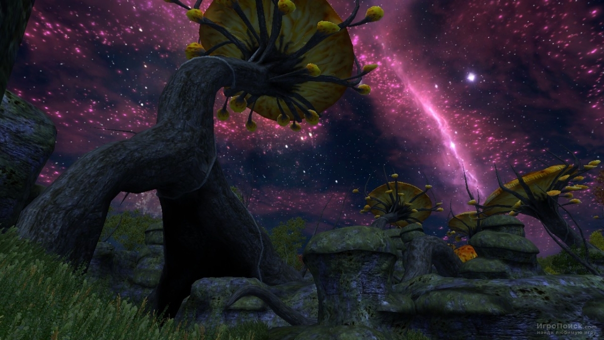 Скриншот к игре The Elder Scrolls IV: Shivering Isles